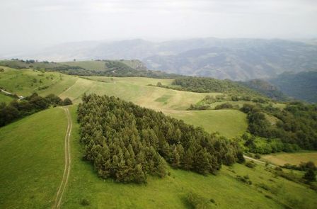 Chinchin village