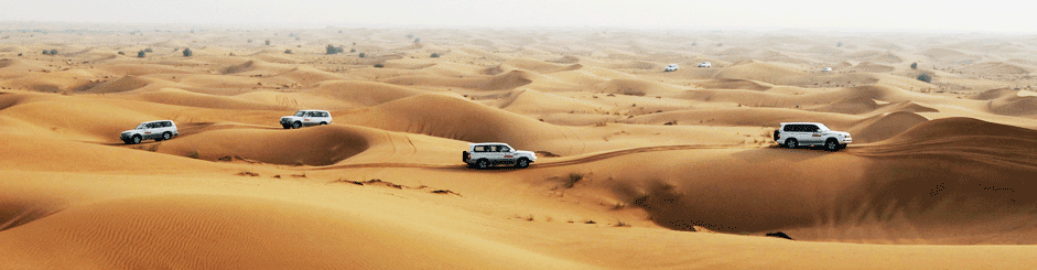 Desert safari