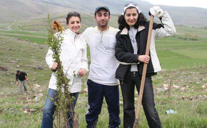 Ongoing reforestation program in Armenia
